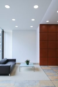 black leather couch beside green potted plant
